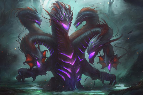 Kraken 24 at