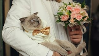 Ссылка на кракен тор kr2web in